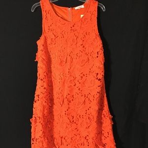 SugarLips Sleeveless Mini Dress - Orange - Large